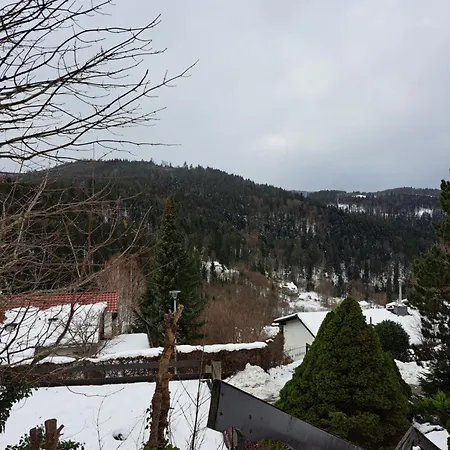 Apartment Grosse In Ruhiger Lage Mit Toller Aussicht In Triberg Triberg im Schwarzwald