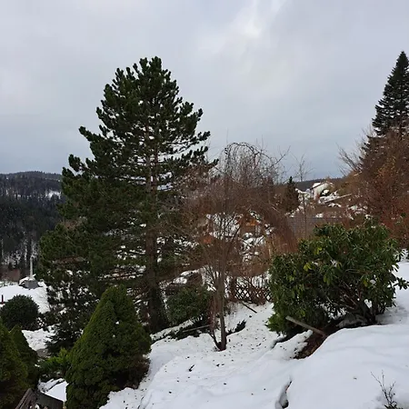 Grosse In Ruhiger Lage Mit Toller Aussicht In Triberg * Triberg im Schwarzwald
