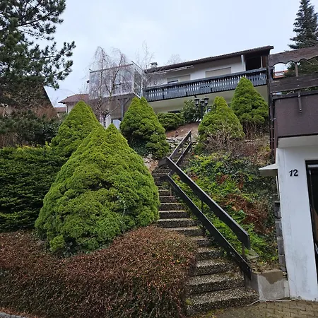 Grosse In Ruhiger Lage Mit Toller Aussicht In Triberg *