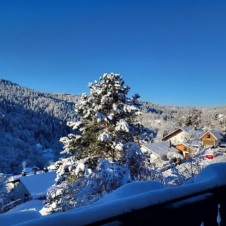 Grosse In Ruhiger Lage Mit Toller Aussicht In Triberg Apartment