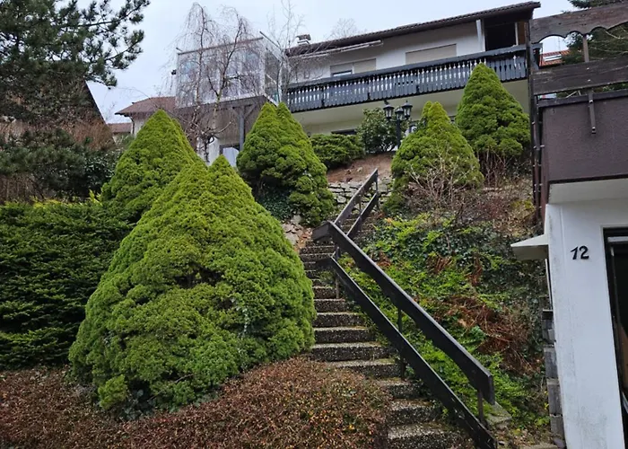 Grosse In Ruhiger Lage Mit Toller Aussicht In Triberg *